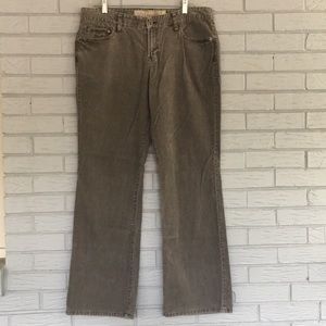 Curvy boot cut corduroy pants - perfect for fall